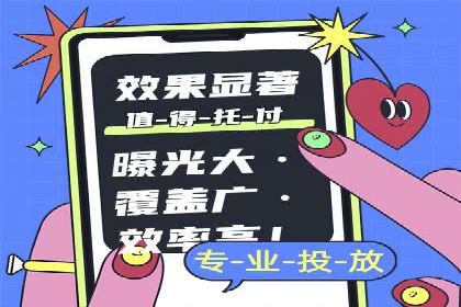 竞价广告的投放策略与效果评估——以一成功企业为例
